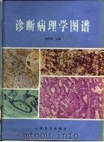 诊断病理学图谱（1998 PDF版）