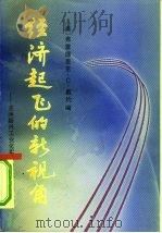 经济起飞的新视角 亚洲新兴工业化实体的政治经济分析 1991 PDF电子版封面 7500408307 (美)戴 约(Deyo,F.C.)编;王燕然,王逾西译