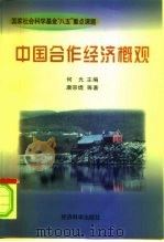 国家社会科学基金“八五”重点课题  中国合作经济概观（1998年01月第1版 PDF版）