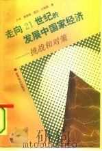 走向21世纪的发展中国家经济  挑战和对策（1995 PDF版）