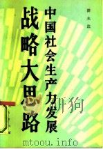 中国社会生产力发展战略大思路 1991 PDF电子版封面 7010008663 薛永应著