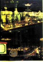 为什么能够起飞  走向21世纪的中国经济面面观（1993 PDF版）
