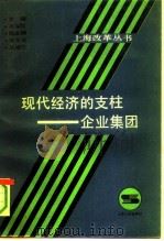 现代经济的支柱-企业集团 1991 PDF电子版封面 7208010714 卓福民主编