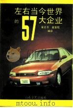 左右当今世界的57大企业   1993  PDF电子版封面  7530611461  金正玉，崔泰殷编译 