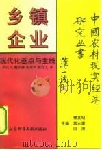 乡镇企业  现代化基点与主线   1994  PDF电子版封面  7800505537  郭纪元等著 
