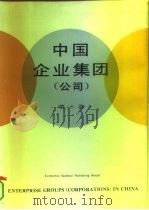 中国企业集团 公司 第2卷 汉英对照 1991 PDF电子版封面 7505804189 万光明总编辑;《中国企业集团(公司)》编委会编