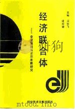 经济联合体  企业集团与企业发展研究（1993 PDF版）