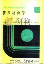 劳动社会学   1985  PDF电子版封面  4238·0121  （德）施托伯格（Stollbery，R.），袁伦渠，李步魁译 