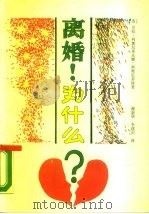 离婚！为什么？（1989 PDF版）