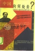 中国向何处去? 中国共产党历次全国代表大会动态分析 1993 PDF电子版封面 7203025144 张希贤等编著