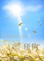 Physics of Seismic Sources Ⅲ.Statistical Mechanics of Earthquakes PDF电子版封面