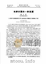 疱脐衣属的一新亚属（ PDF版）
