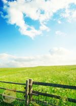 CHINESE Science Bulletin     PDF电子版封面     