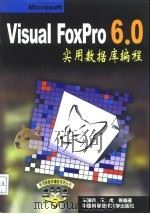 Visual FoxPro 6.0实用数据库编程（1999 PDF版）