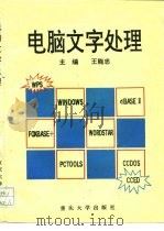 电脑文字处理 1994 PDF电子版封面 7562407401 王能忠主编