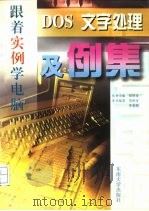 DOS文字处理及例集（1997 PDF版）