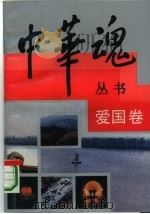 爱国卷（1992年08月第1版 PDF版）
