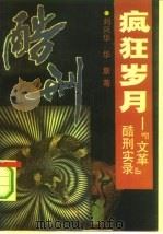 疯狂岁月-“文革”酷刑实录（1993 PDF版）