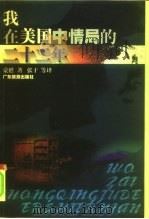 我在美国中情局的二十二年（1999 PDF版）