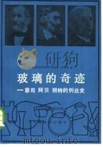 玻璃的奇迹 蔡司、阿贝、朔特的创业史 1982 PDF电子版封面 4188·27 (西德)弗里茨·舍费尔(F. Scheffel)著;胡仲华,
