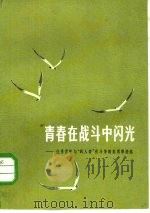 青春在战斗中闪光 优秀青年与“四人帮”作斗争的英勇事迹选 1978 PDF电子版封面 3074·492