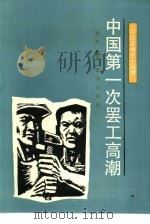 中国第一次罢工高潮 1990 PDF电子版封面 7501107920 金风编写