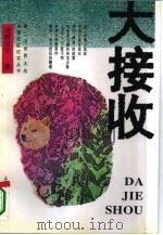 大接收（1995 PDF版）