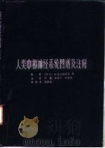 人类中枢神经系统图谱及注释 1984 PDF电子版封面 14048·4538 (荷兰)尼尤温荷斯(R.Nieuwenhuys)等著;芦鹏等
