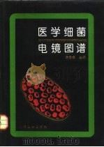 医学细菌电镜图谱（1994 PDF版）
