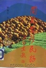 开发型移民好 第1集 1991 PDF电子版封面 7120002112 李伯宁主编