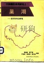 巢湖  富营养化研究（1990 PDF版）