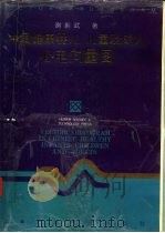 中国健康婴儿、儿童及成人心电向量图（1993 PDF版）