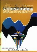艾滋病临床病例图谱 1999 PDF电子版封面 7530421107 王健,徐莲芝编著