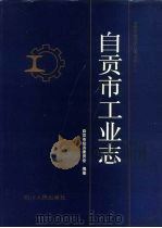 自贡市工业志 1996 PDF电子版封面 7220031602 自贡市经济委员会编