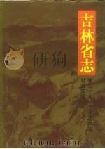 吉林省志 卷39 文化艺术志 社会文化 1992 PDF电子版封面 7206018358 吉林省地方志编纂委员会编纂