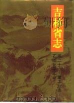 吉林省志 卷21 重工业志 石油化学工业 1994 PDF电子版封面 7206020968 吉林省地方志编纂委员会编纂