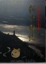 新干县志（1990 PDF版）