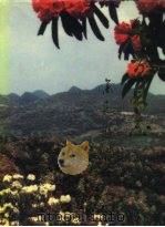 大方县志（1996 PDF版）