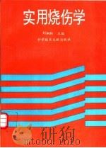 实用烧伤学 1995 PDF电子版封面 7502322922 刘桐林主编
