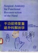 手功能修复重建外科解剖学   1996  PDF电子版封面  7117024631  徐达传主编 