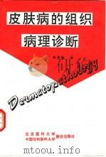 皮肤病的组织病理诊断 A.B.阿克曼结构型式分析的诊断方法 1991 PDF电子版封面 7810340581 朱学骏编