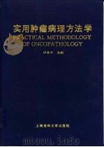 实用肿瘤病理方法学   1997  PDF电子版封面  7562703795  许良中主编 