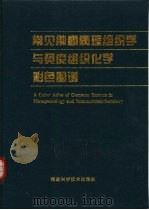 常见肿瘤病理组织学与免疫组织化学彩色图谱（1997 PDF版）