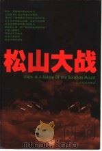 松山大战 1995 PDF电子版封面 7222018603 段培东著