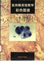 实用精液细胞学彩色图谱（1994 PDF版）
