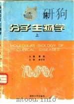 临床分子生物学 上 1995 PDF电子版封面 7305029041 谢维主编