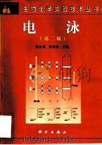 电泳（1990 PDF版）