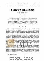 巨共振在中子-核散射中的作用（ PDF版）
