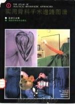 实用骨科手术进路图谱（1994 PDF版）