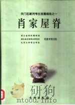 天门石家河考古发掘报告之一  肖家屋脊  下（1999 PDF版）